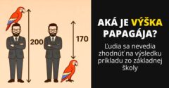 Aká je výška papagája? Ľudia sa nevedia zhodnúť na výsledku príkladu zo základnej školy