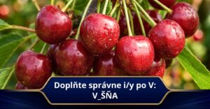 Viete aké i/y sa píše vo výbere slov po písmene V? #1